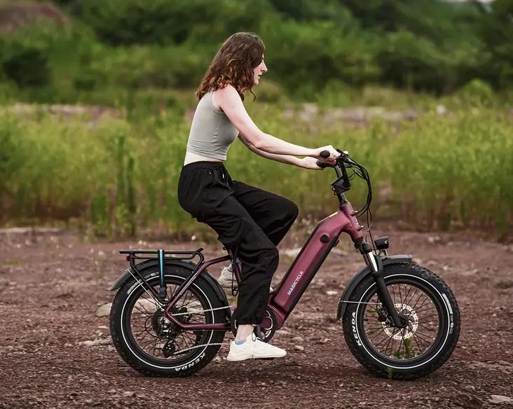 Компания Magicycles представила модель электровелосипеда Ocelot Pro 2.0 / Авто и транспорт / iXBT Live